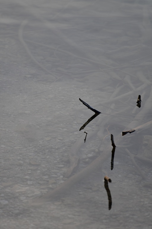 2018-12-29 Hohenschwangau/DSC_8735.JPG